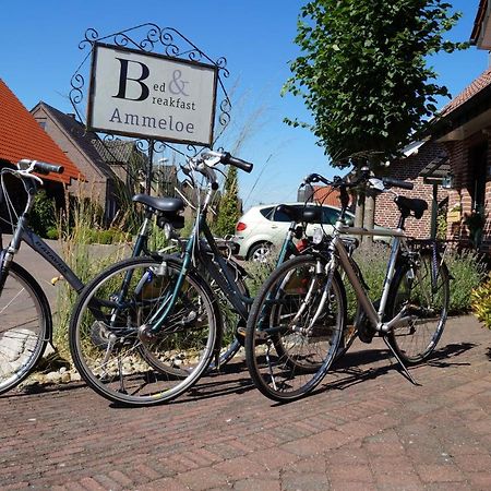 Bed&Breakfast Ammeloe Vreden Eksteriør billede