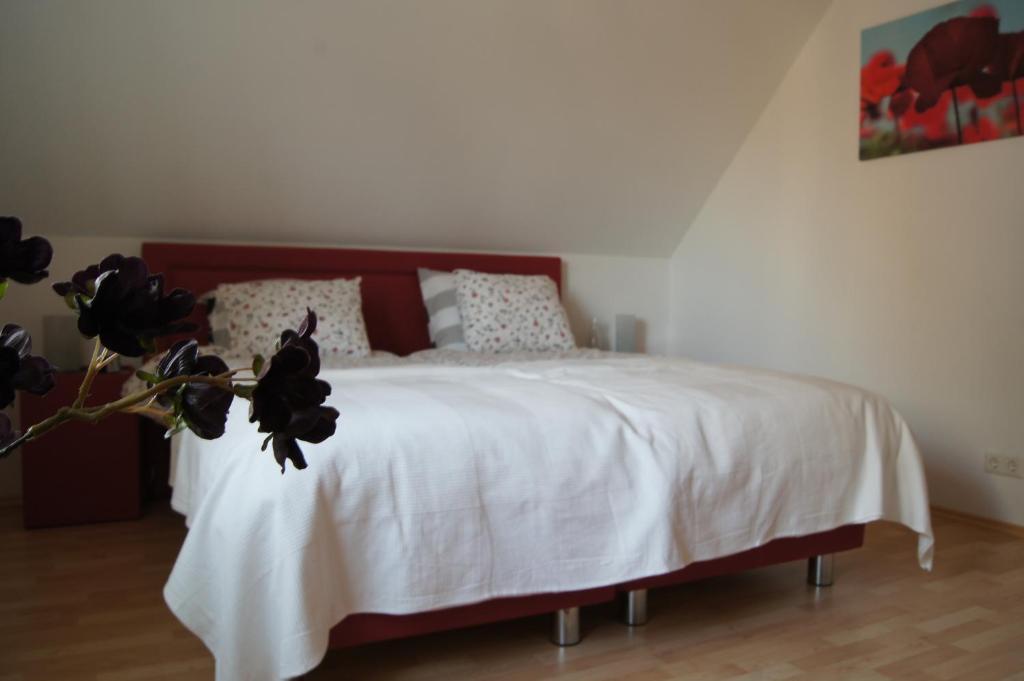 Bed&Breakfast Ammeloe Vreden Eksteriør billede