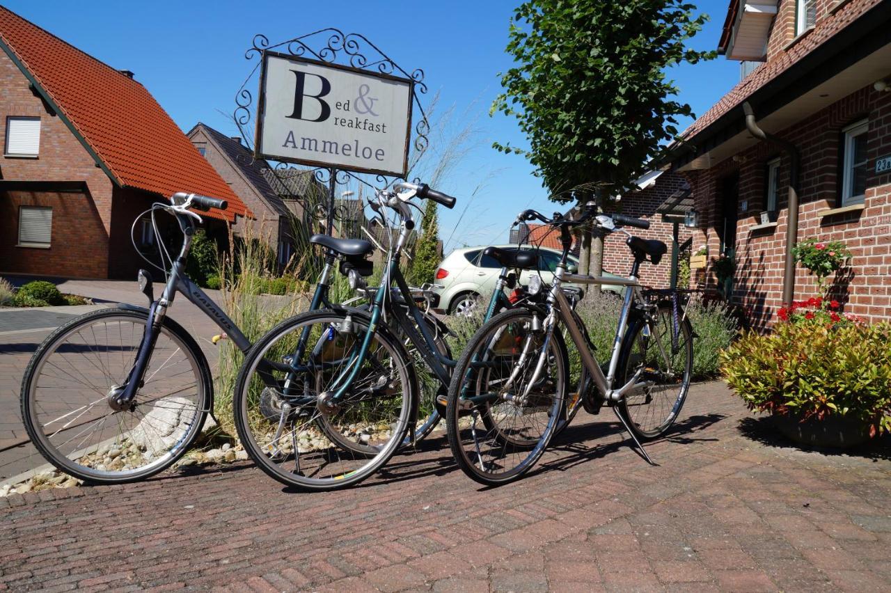 Bed&Breakfast Ammeloe Vreden Eksteriør billede