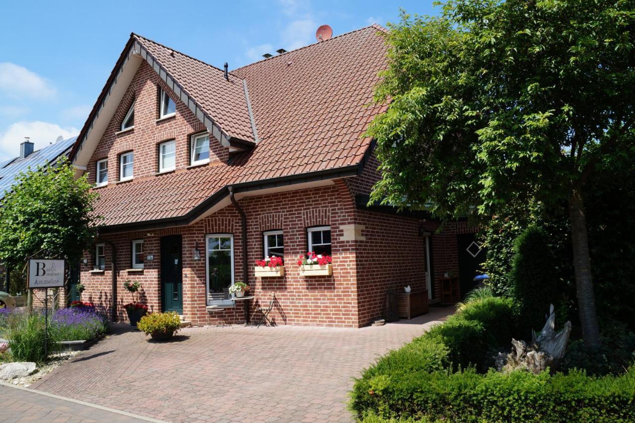 Bed&Breakfast Ammeloe Vreden Eksteriør billede